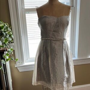 Minuet Petite Silver and White Strapless Dress